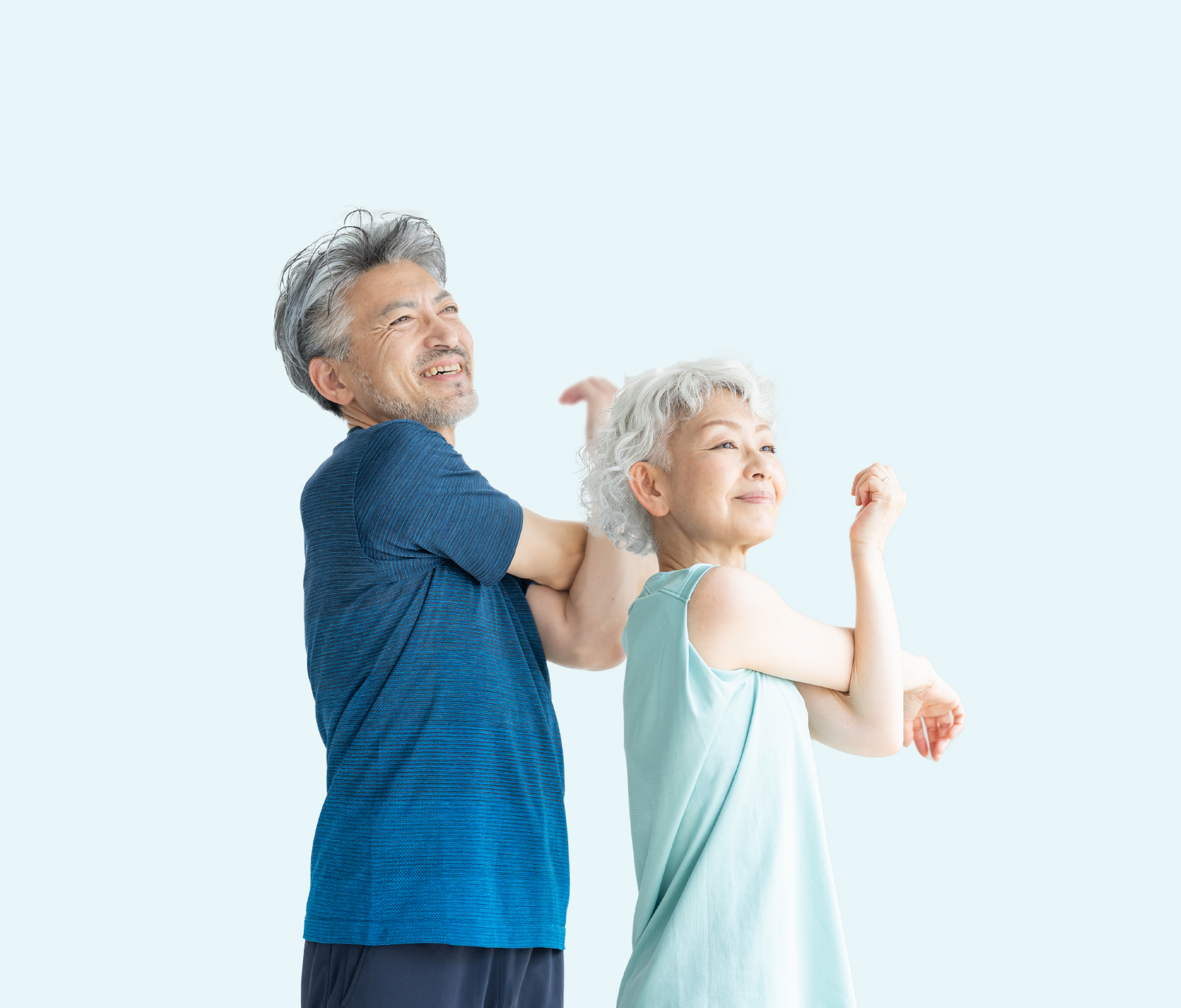 66樹イメージ